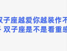 双子座越爱你越装作不在乎 双子座是不是看重感觉